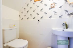 Photo 17- click for photo gallery